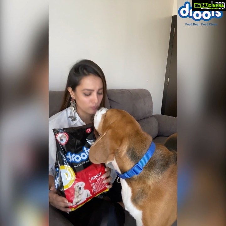Anita Hassanandani Instagram - @DroolsIndia Feed Local, Be Vocal. During this global pandemic, we all must try to shop Swadeshi products even for our furry friends. For which I choose @droolsindia as it’s not only made in India but also fulfils their unique nutritional requirements. I urge all pet parents to help India become #Aatmannibhar by doing their bit. . . . #DroolsIndia #VocalForLocal #VocalForLocalIndia #FeedRealFeedClean #PetFood #MadeInIndiaSince2009 #ShopLocally #SwadeshiBrand #LocalToGoGlobal #FightCorona #QuarantineAndChill #Covid19 #PetParents #Pawrenting #PetFoodIndia #PetSupplies #SayNoToHandshake #AdoptDontShop #PetNutrition #PetHealth #stayhomestaysafe😷