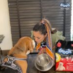 Anita Hassanandani Instagram – When it comes to pet food, I can only think of @droolsindia ❤ My doggo instantly fell in #LoveAtFirstBowl as it was so yummy and irresistible.🐶 Look at his reaction, he left the bowl spotless. ✅ 
Share a video of your pet enjoying Drools pet food.📸 Tag @doolsindia and win exciting hampers for your furry friend.🎁 #Drools #FeedRealFeedClean #loveAtFirstBowl #FurryValentine #DogFood #FoodForDogs #DogNutrition #RealChicken #healthydogfood #Dog #PetCare #Pets #festivals #WhatsGoodForYourDog #HappyDog #DogLife #FurryFriends #happyValentinesDay #petwelfare #petfriendly #cats