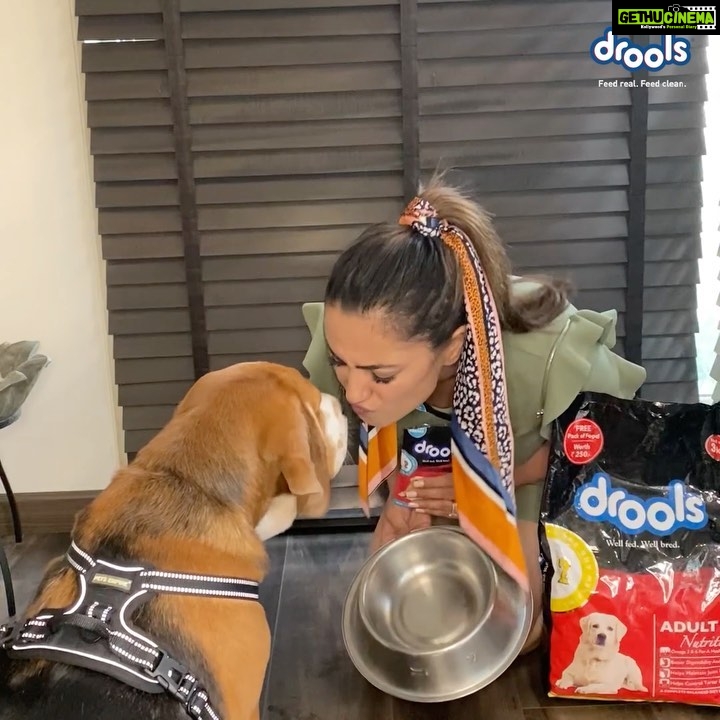 Anita Hassanandani Instagram - When it comes to pet food, I can only think of @droolsindia ❤ My doggo instantly fell in #LoveAtFirstBowl as it was so yummy and irresistible.🐶 Look at his reaction, he left the bowl spotless. ✅ Share a video of your pet enjoying Drools pet food.📸 Tag @doolsindia and win exciting hampers for your furry friend.🎁 #Drools #FeedRealFeedClean #loveAtFirstBowl #FurryValentine #DogFood #FoodForDogs #DogNutrition #RealChicken #healthydogfood #Dog #PetCare #Pets #festivals #WhatsGoodForYourDog #HappyDog #DogLife #FurryFriends #happyValentinesDay #petwelfare #petfriendly #cats