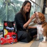 Anita Hassanandani Instagram - @droolsIndia Its always difficult for me, not to share my Diwali sweets with Mowgli especially when he looks at me with those innocent eyes. But I need to be cautious when it  comes his health so I always give him treats specially made for him! I will feed Mowgli only Drools Treats this festive season as #itsapromise to do my bit to make this Diwali nutritious and happy for him! Drools is doing their bit by working with pet welfare associations. Check out @droolsindia to find out more! @m5entertainment #Drools #FeedRealFeedClean #itsapromise #DogFood #FoodForDogs #DogNutrition #cute #happy #instagood #beautiful #tbt  #fashion #me #photooftheday #instagood #RealChicken #healthydogfood #DogofInstagram #Dog #PetCare #Pets #PetsOfInstagram #food #WhatsGoodForYourDog  #HappyDog  #DogLife #FurryFriends #diwali