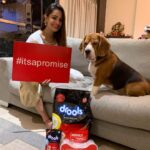 Anita Hassanandani Instagram - Let’s make this Diwali joyful for our furry friends 🐶🐱. During this time, we often forget the discomfort faced by our pets and homeless furries. The careless use of firecrackers and its noise can be unpleasant and stressful for them. This festive season, #itsapromise to gift a safe Diwali to all our pawed friends around. Drools is doing their bit this Diwali, visit @droolsindia to know more! @m5entertainment #Drools #FeedRealFeedClean #itsapromise #DogFood #FoodForDogs #DogNutrition #cute #happy #instagood #beautiful #tbt #fashion #me #photooftheday #instagood #RealChicken #healthydogfood #DogofInstagram #Dog #PetCare #Pets #PetsOfInstagram #food #WhatsGoodForYourDog #HappyDog #DogLife #FurryFriends #Diwali
