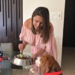 Anita Hassanandani Instagram - Merrraaaa cutttie! @droolsIndia Whenever people ask me about @snuglymowgli ’s cuteness, I have only one answer: @droolsindia with 100% real chicken.And with good nutrition, Mowgli gets healthier, happier and cuter every day. Feed Real.Feed Clean #Drools #FeedRealFeedClean #DogFood #FoodForDogs #cute #happy #instagood #beautiful #tbt #me #photooftheday #instagood #RealChicken #healthydogfood #DogofInstagram #Dog #PetCare #Pets #PetsOfInstagram #Health #food #HappyDog #HappyPet #RealNutrition #snuglymowgli