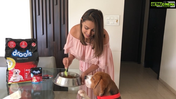 Anita Hassanandani Instagram - Merrraaaa cutttie! @droolsIndia Whenever people ask me about @snuglymowgli ’s cuteness, I have only one answer: @droolsindia with 100% real chicken.And with good nutrition, Mowgli gets healthier, happier and cuter every day. Feed Real.Feed Clean #Drools #FeedRealFeedClean #DogFood #FoodForDogs #cute #happy #instagood #beautiful #tbt #me #photooftheday #instagood #RealChicken #healthydogfood #DogofInstagram #Dog #PetCare #Pets #PetsOfInstagram #Health #food #HappyDog #HappyPet #RealNutrition #snuglymowgli