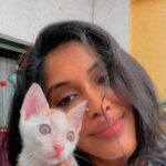 Anjali Patil Instagram - Be like Simba. . . . . . . #catbabies #catreels