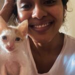 Anjali Patil Instagram - I know, he is here to break my heart 🤍 . . . . . . . . #reels #reelitfeelit #reelsoftheday #reelsinstagram #reelkarofeelkaro #cats #fostering #catsofinstagram #simba #