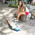 Antara Biswas Instagram – Peacocks Symbolize … NEW BEGINNINGS and ETERNAL LIFE ❤️🙏 #happy #mood #goodvibes #peacock #me #positivevibes #positivity