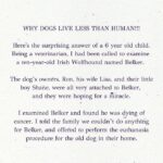 Anushka Sharma Instagram – This post is for everyone who has lost their doggo. They are and will always be good doggos ❤️