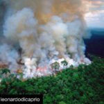 Anushka Sharma Instagram - #Repost @leonardodicaprio ・・・ Terrifying to think that the Amazon is the largest rain forest on the planet, creating 20% of the earth’s oxygen, basically the lungs of the world, has been on fire and burning for the last 16 days running, with literally NO media coverage whatsoever! Why?