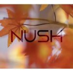 Anushka Sharma Instagram – Get ready to slay everyday with all the new styles of #NUSH AW18 Collection 🍁🍂🍁
Available now at @myntra : myntra.com/nush, @shoppers_stop, @jabongindia & nush.in @nushbrand