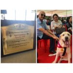 Anushka Sharma Instagram - Dude becomes a proud blood donor, he got to save the life of another dog in need. Thanks to @bvcstudentcouncil_18 for organising this event & creating awareness. I hope this encourages all those of you with pets to do the same! 🐶