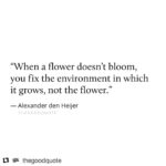 Anushka Sharma Instagram - #Repost @thegoodquote If only people understood this . We’d be living in a happier world 🙏🏼 ・・・ Type "Yes" if you agree or leave your comment below. #thegoodquote🌻