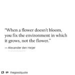 Anushka Sharma Instagram – #Repost @thegoodquote
If only people understood this . We’d be living in a happier world 🙏🏼
・・・
Type “Yes” if you agree or leave your comment below.
#thegoodquote🌻