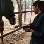 Anushka Sharma Instagram - Handsome 😍🐴😍