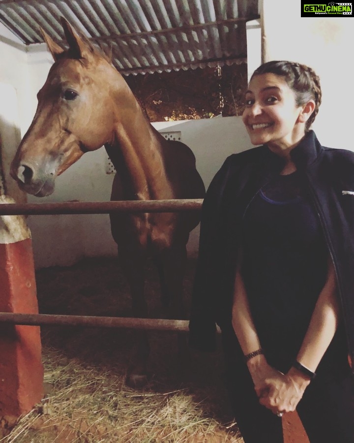 Anushka Sharma Instagram - Look at that attitude ! Uff ! 🐴💖✨