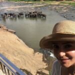 Anushka Sharma Instagram - A day spent with elephants ... is a day spent well ! 🐘💜