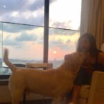 Anushka Sharma Instagram - Puppy lovin 😍😍😍#NoFilter beautiful sunset ❤️