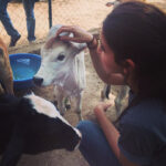 Anushka Sharma Instagram – Spent the day at Udaipur’s animal rescue & shelter, @animalaid_india. Some really incredible work is being done by Jim, Erika, Claire, Neha, Raj & others. Please do visit the place or donate towards the efforts being done by them for animal care http://animalaidunlimited.org. To experience what the true power of being a human is, is to spend a day in the care of voiceless & injured animals 🙏🏼 Feeling so so blessed & inspired 🙏🏼🙏🏼🙏🏼