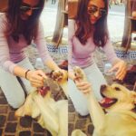Anushka Sharma Instagram - Met this adorable cutie in #Budapest who looks just like my dog 😍 I think my doggie Dude might get a bit jealous 😂 animals can brighten any terrible day ! Bless 'em 😇😇