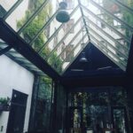 Anushka Sharma Instagram – Found a beautiful vegan and vegetarian friendly restaurant in Vienna . And I’m gonna be belting food !!! #Bliss #VegetarianProblems