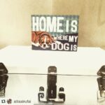 Anushka Sharma Instagram - Word ! So true .. 😔🐶 miss my doggie