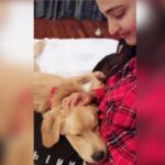 Anushka Shetty Instagram - #InternationalPetDay 🐕❤️