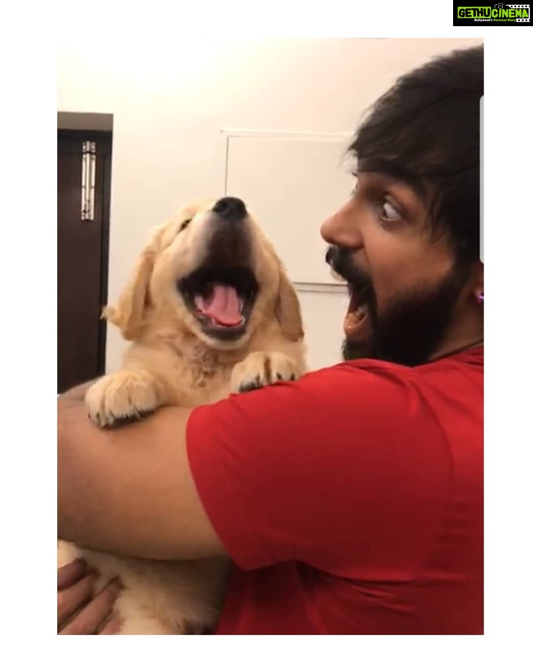 Arav - 38.5K Likes - Scooobyyyy..thank you @praginsta for bringing him
#goldenretriever