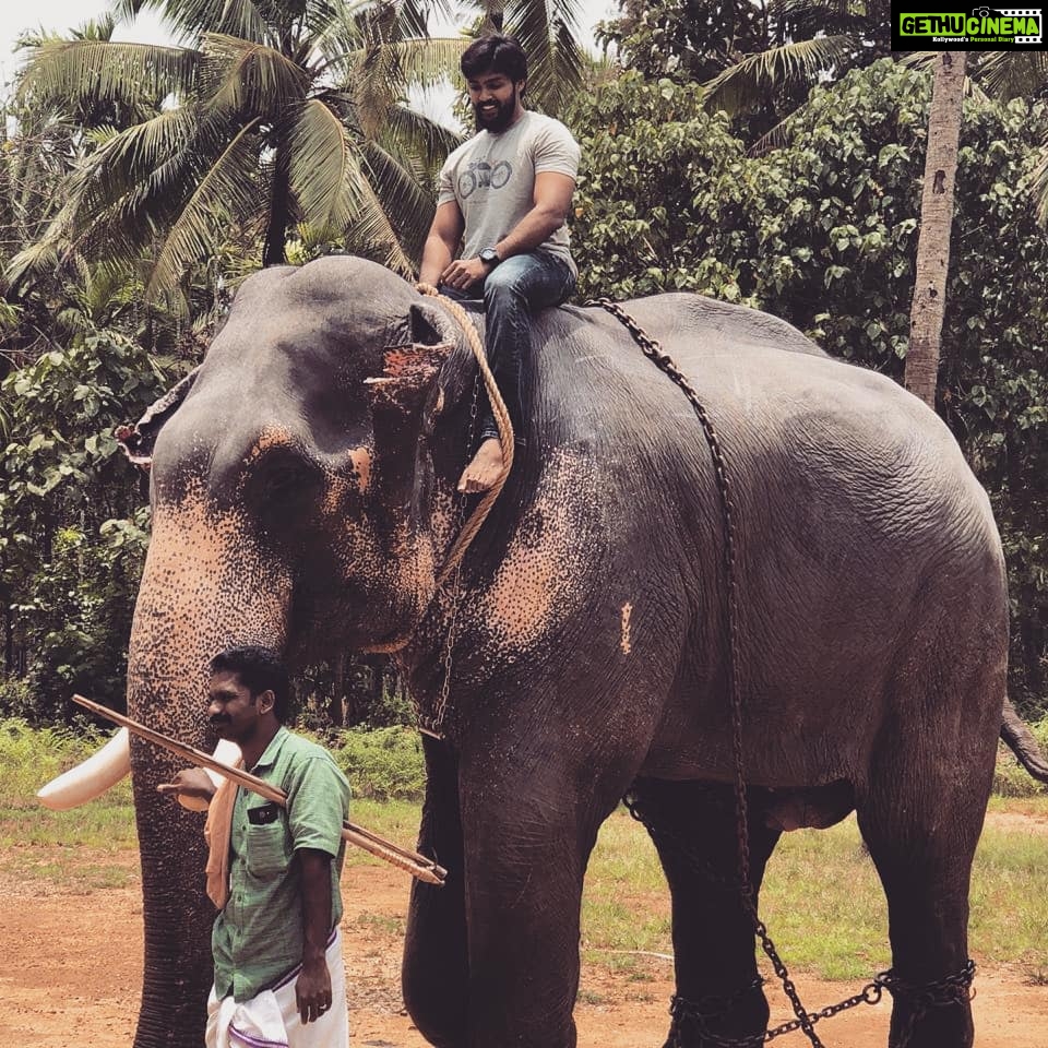 Arav - 36.7K Likes - Big Brother 👑🐘