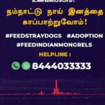 Arav Instagram – Check out my conversation with @radiocityindia @radiocitytamil_ about this noble cause to rescue and help stray dogs. We all have to do our part in our neighbourhood. For any help or need reach out to the mentioned helpline 8444033333.

#StrayDogs #FeedStrayDogs #FeedIndianMongrels #Adoption #Arav #ActorArav #goodcause #CN #AdoptDontShop #dogsofinstagram #dogs #rescuedogs #straydogsfeeder #straydogschennai #Chennai #Stray #streetdogsofindia #streetdogsofinstagram #kindness #help