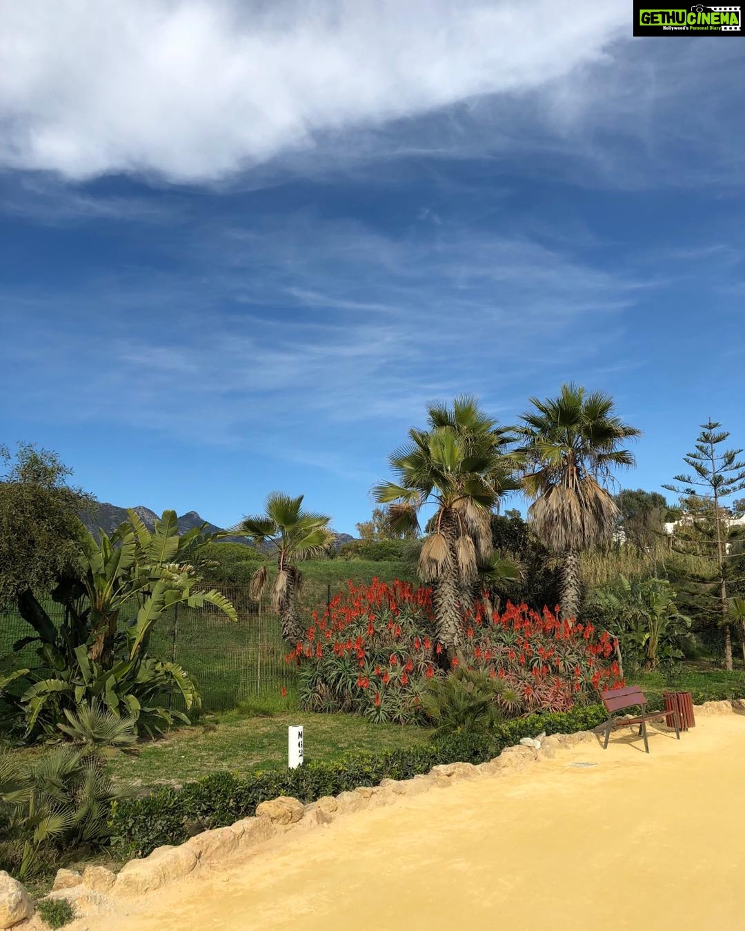 Banita Sandhu Instagram - aloe there Marbella, Spain