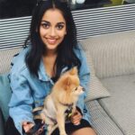 Banita Sandhu Instagram - doggy day care Bluebird Chelsea