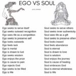 Bipasha Basu Instagram - Goodmorning ❤️Feed your soul not your ego🙏 #loveyourself