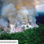 Bipasha Basu Instagram - Terrifying to think that the Amazon is the largest rain forest on the planet, creating 20% of the earth’s oxygen, basically the lungs of the world, has been on fire and burning for the last 16 days running, with literally NO media coverage whatsoever! Why? #amazonfire #prayforamazonas 🙏