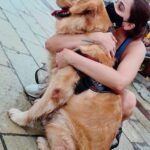Daisy Shah Instagram - ❤️ #bestcuddlesintheworld #doglovers