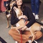 Daisy Shah Instagram - Expectation Vs reality 🤣 At the #adoptathon2019 .... Always happy to be a part of such events... Remember #adoptdontshop🐾