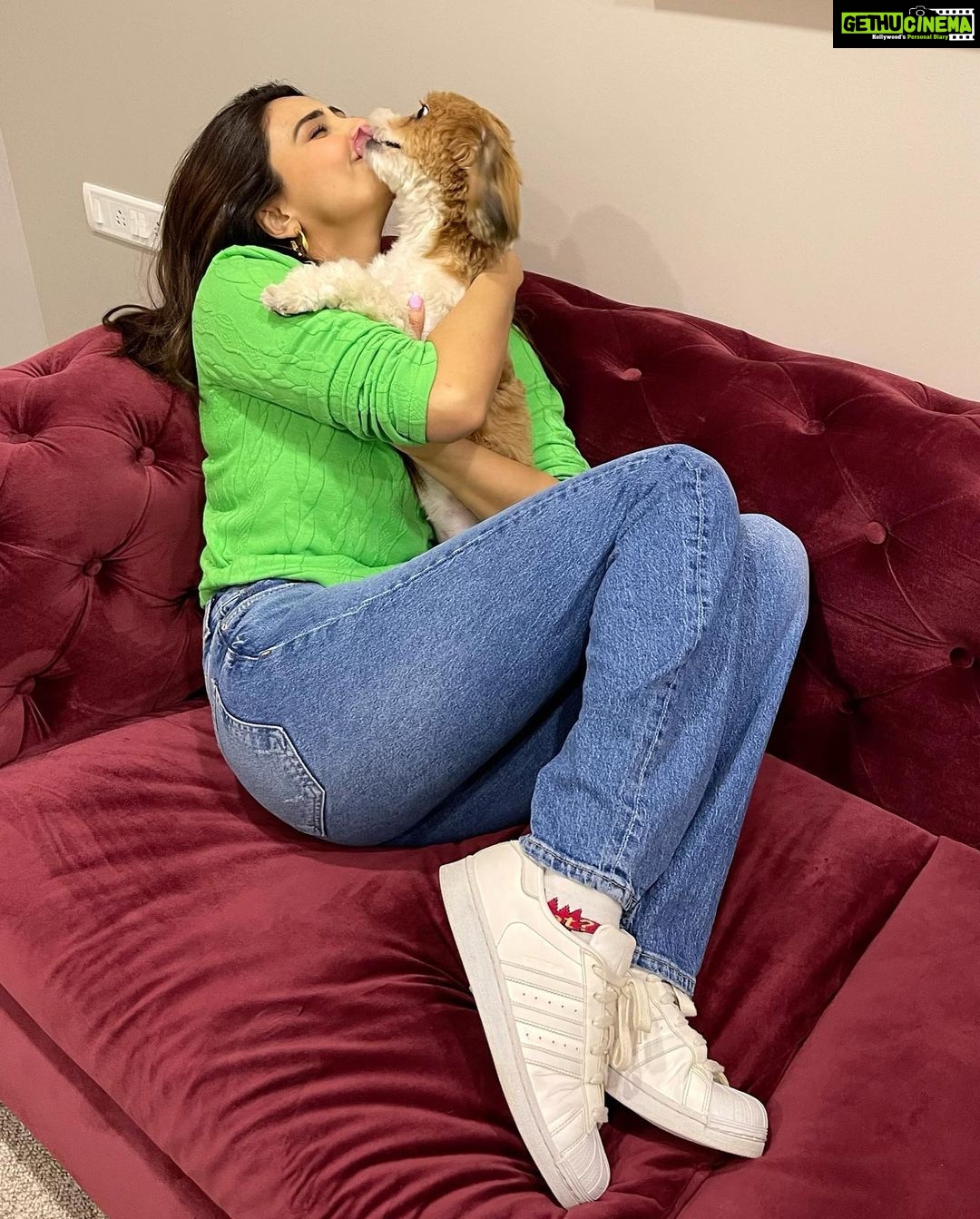 Daisy Shah Instagram - Newest staff member on set today Job Assigned: Provide kisses n cuddles! πΆπβ€οΈ . . . #livelovelaugh #dogmom #theoshahofficial #daisyshah