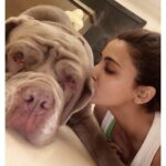 Daisy Shah Instagram - U left your paw 🐾 print on my heart my love. Will miss you ❤️ #rip #mylove