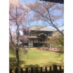 Deeksha Seth Instagram - Todaiji shrine #nara #japan #holiday Tōdai-ji