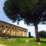 Deeksha Seth Instagram - Day 4 #italy #traveldiaries #shoot Paestum - Zona Archeologica