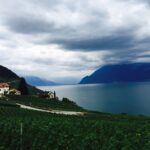 Deeksha Seth Instagram - Day 1- Lavaux vineyards. Paradise #nofilter Lavaux Vineyards