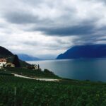 Deeksha Seth Instagram – Day 1- Lavaux vineyards. Paradise #nofilter Lavaux Vineyards