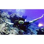 Deeksha Seth Instagram – #takemeback #diving #love