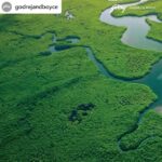 Dia Mirza Instagram - I was surprised to find out that 48% of the people who @GodrejAndBoyce spoke to for research did not know what mangroves were or the fact that these Blue Carbon Ecosystems remove carbon dioxide from the atmosphere. As a nature lover, I think the need of the hour is to get back to the basics and raise awareness about this beautiful and critical ecosystem. So, here's a simple yet special video by #GodrejAndBoyce for our #BlueCarbonGuardians on the occasion of #InternationalDayForTheConservationOfTheMangroveEcosystem. It's got all the answers for anyone who's not familiar with this unique and special ecosystem that makes a world of a difference to us and our future 🌏 #Mangroves #GenerationRestoration #SDGs #GlobalGoals #ClimateAction #ActNow India