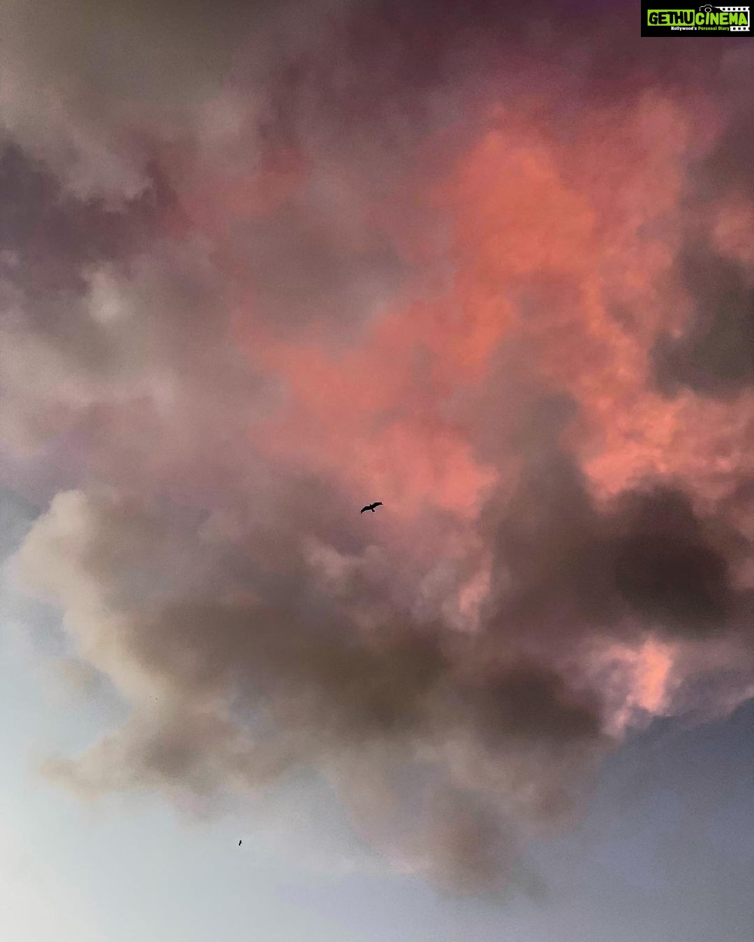 Dia Mirza Instagram - “Every sunset brings the promise of a new dawn.” - Ralph Waldo Emerson Doesn’t this look like Nebula? Witnessing sunsets is something we love. The hues in the sky, the shapes and movements of the clouds, the play of light and how quickly and magnificently everything transforms… it’s all a reminder of how magical every present moment is 🦄🦋🌅 #BeStill #BreatheAndWitness #SunsetKeDiVane #NaturesCanvas #ForNature #Friday Bandra World of Storytellers