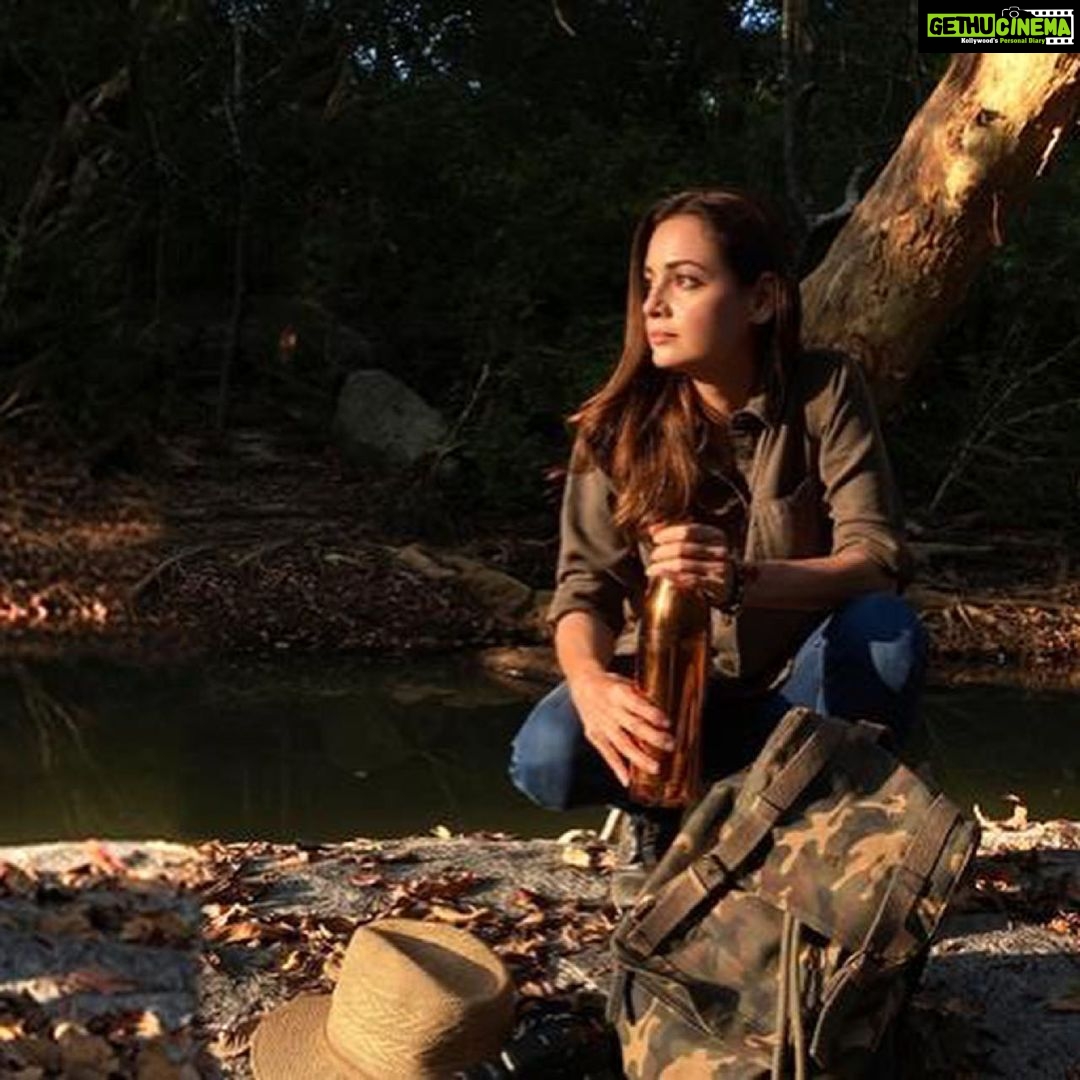 Dia Mirza Instagram - On #SocialMediaDay2021 i just want to say how grateful i am to be an advocate #ForPeopleForPlanet #ForNature 🌳🦋🐯🙏🏻 Let us continue to do good! And stay connected 🌏 #GenerationEquality #GenerationRestoration #BeatPollution India