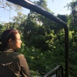 Dia Mirza Instagram - Throwback to a Thursday that fills my heart with joy @wildlifetrustofindia @vivek4wild Kaziranga 2015 🙏🏻 Reconnecting with nature was the best gift i gave myself 💚🌳🐘🦋🐯🐬🐘🦒🦚🦥🕊🌏 #ForNature #ForPeopleForPlanet #BeatPollution #ForeverWild #WildForLife #GenerationRestoration #ClimateAction #SDGs #GlobalGoals #TBT #throwbackthursday India