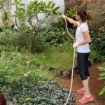 Dia Mirza Instagram - Thinking back to this time last year... when we were ‘locked’ down! Grateful for that time because despite everything we had our garden and some sense of freedom. My favourite chore was watering plants! What was yours? #ThursdayThrowback #NatureLove #IAMNature Bandra World of Storytellers