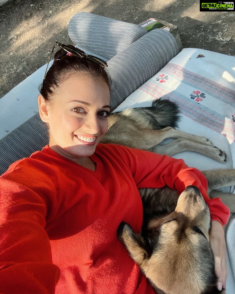 Dia Mirza Instagram - Bobo loves to cuddle 🧡 #NewFriends #MountainIndies Mary Budden Estate