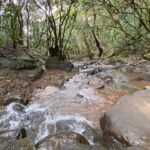 Dia Mirza Instagram – “They both listened silently to the water, which to them was not just water, but the voice of life, the voice of Being, the voice of perpetual Becoming.”― Hermann Hesse #SoundOn #TuesdayThoughts #ForNature Earth