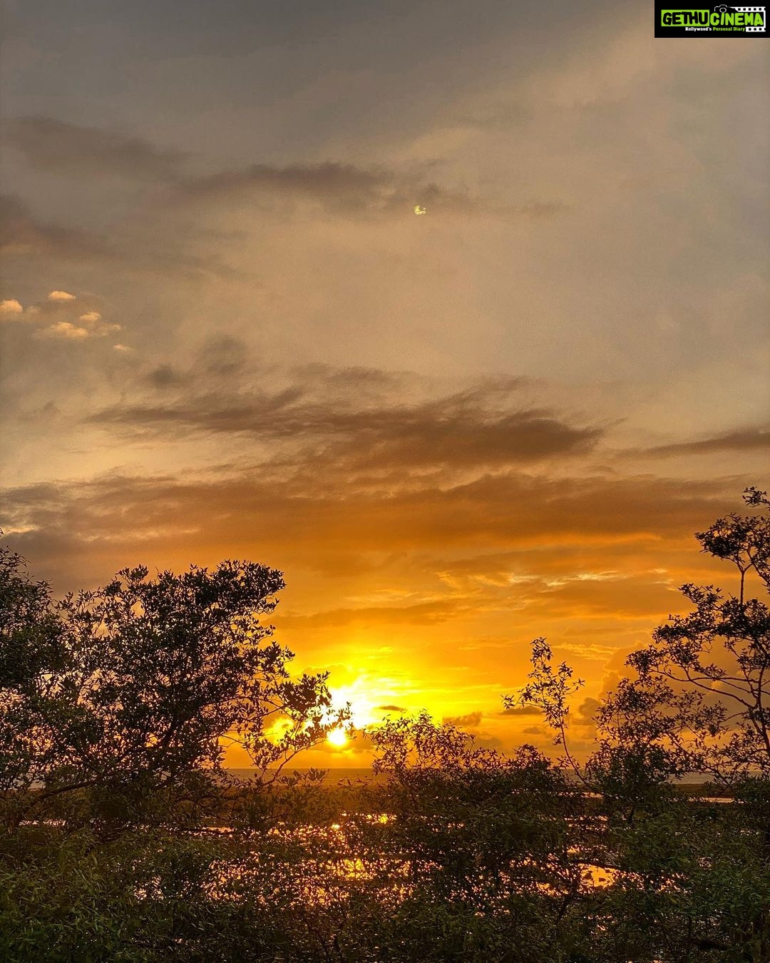 Dia Mirza Instagram - Gold 🧡 #ChasingSunsets #NaturesCanvas #ForNature Bandra World of Storytellers