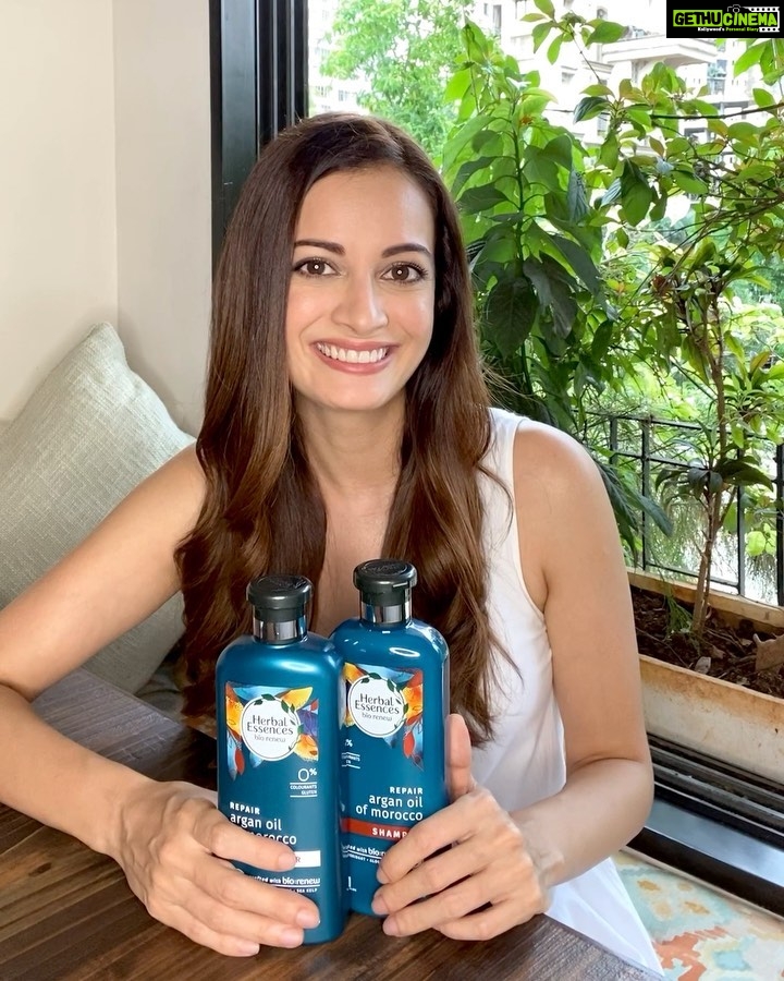 Dia Mirza Instagram - Let’s talk about going green! Yes, as we mature, our habits also gradually evolve. We seek products and make choices for better health and overall well-being. This is not just reflected in our diet and fitness goals, but also in our personal care regimen. Maintaining long hair requires a lot of love and attention, which I have received from @herbalessencesindia infused with real plant extracts that have been certified by the Royal Botanic Gardens Kew London, the world’s oldest plant-science organization. My favourite variant from the range #ArganOil Of Morocco soothes and smoothens hair, while repairing damaged hair. The products are safe for daily use and are easily available online! Before I sign off, I’d also like to add that these products are cruelty-free and produced with eco-friendly processes. That’s why I love them so much!! #realplantextracts #herbalessencesxkew #herbalessencesindia #plantpowerineveryshower